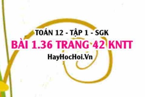 Bài 1.36 trang 42 Toán 12 tập 1 Kết nối tri thức